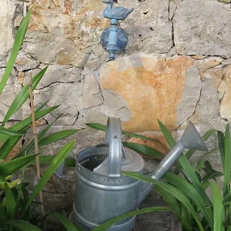 Noz Por Cá... Turismo Em Espaco Rural *
