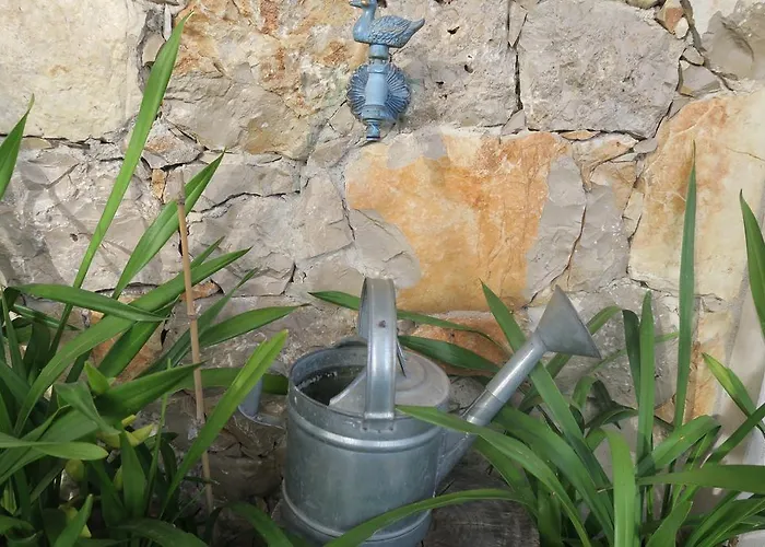Noz Por Cá... Turismo Em Espaco Rural *